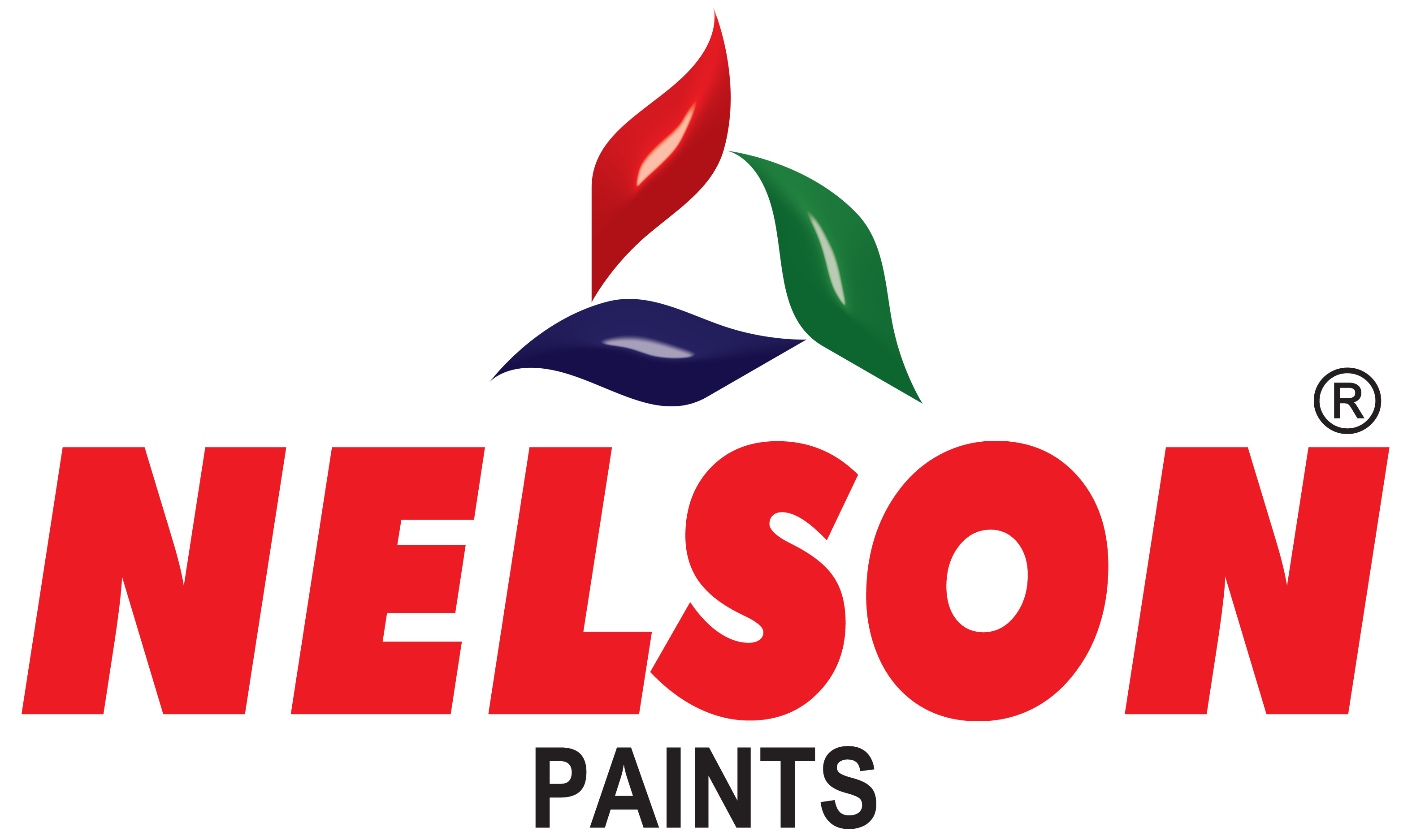 Nelson paints